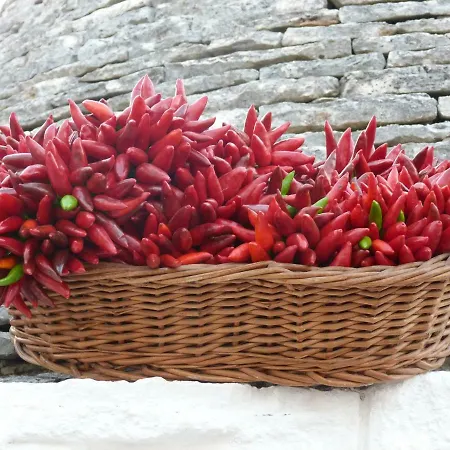 L'antico Orto Dom wakacyjny *